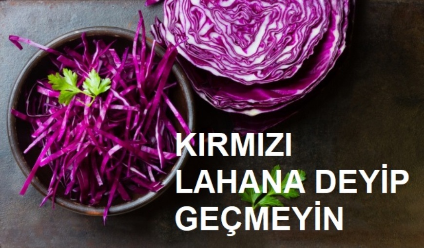 kırmızı lahana
