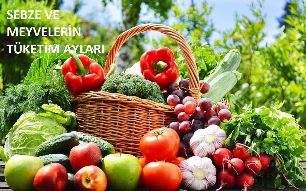 SEBZE MEYVE